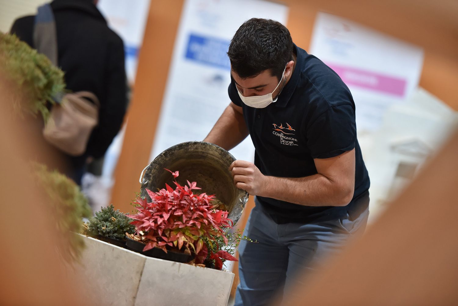 Rencontre entre végétal et minéral