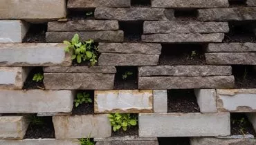 Mur en pierre biodiversitaire