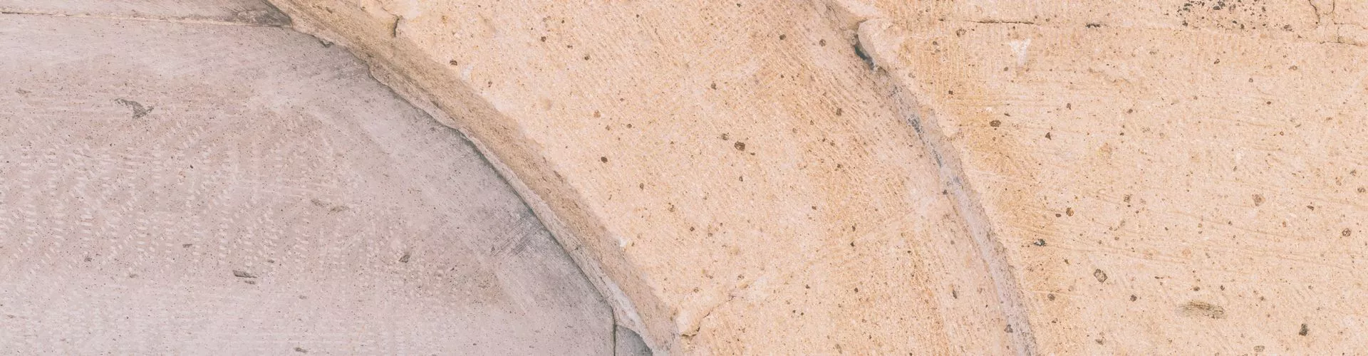 Mur en pierre biodiversitaire Mur en pierre biodiversitaire