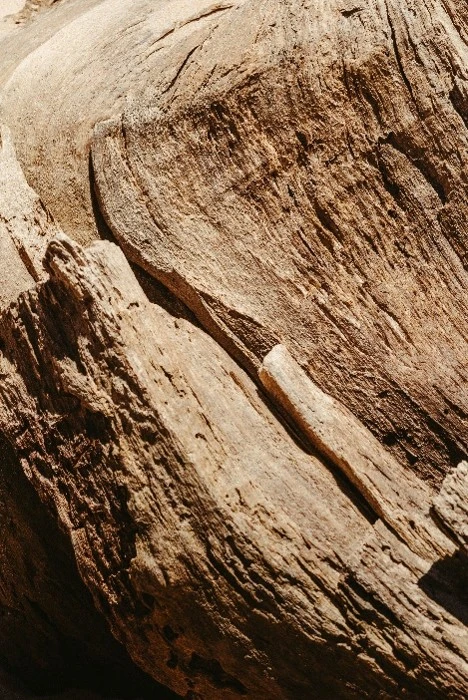 fond rocalia