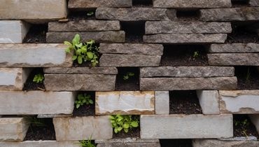 Mur en pierre biodiversitaire Mur en pierre biodiversitaire