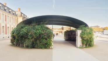 Mur biodiversitaire de Versailles Mur biodiversitaire de Versailles