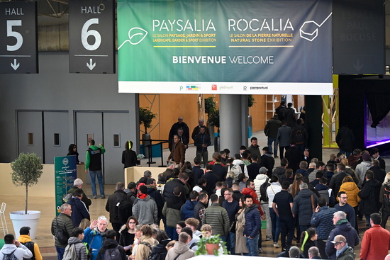 Rocalia Rocalia